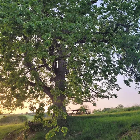 La Gurlanne Bed & Breakfast 3*