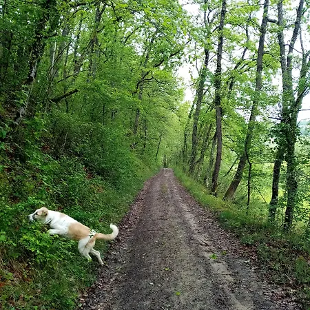 La Gurlanne