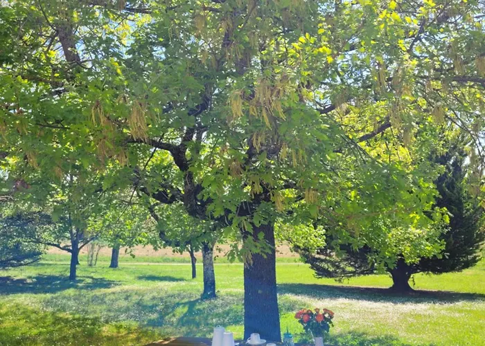 La Gurlanne 住宿加早餐酒店 Lasséran