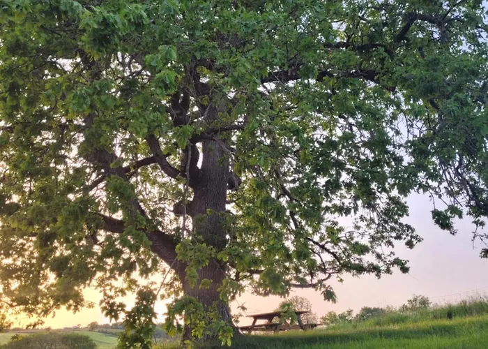 La Gurlanne 住宿加早餐酒店 3*